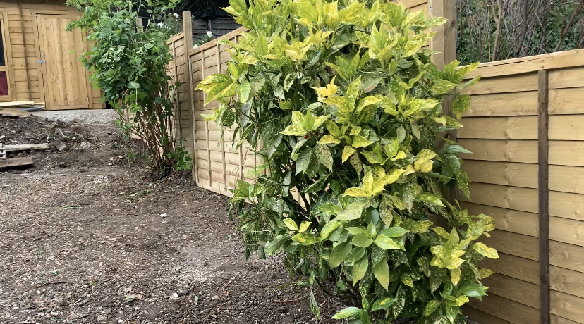 gardening